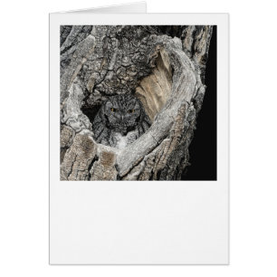 "Coeur de San Pedro" - Chouette à cris