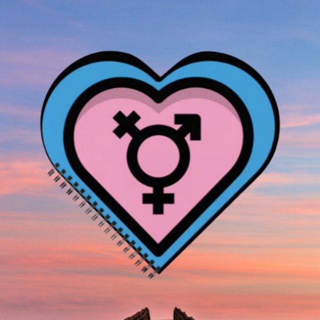 Coeur du Carnet Spiral de la Trans Pride (Créateur téléchargé)