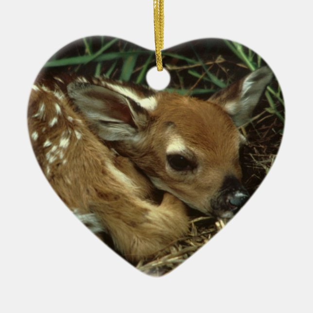 Cœur En Céramique Ornement de cerfs communs de bébé (Devant)