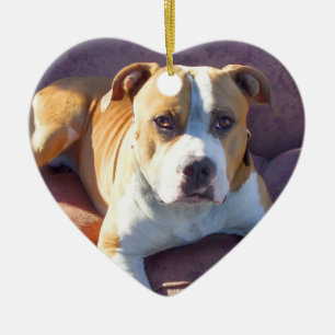 Cœur En Céramique Ornement de chien de Pitbull
