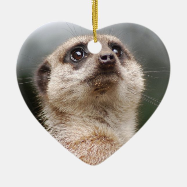 Cœur En Céramique Ornement de Meerkat (Devant)