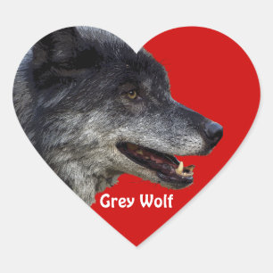 Cœur GRAY WOLF Wildlife Heart Sticker Collection