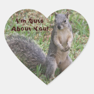 Cœur Je suis Nuts à propos de vous Sticker