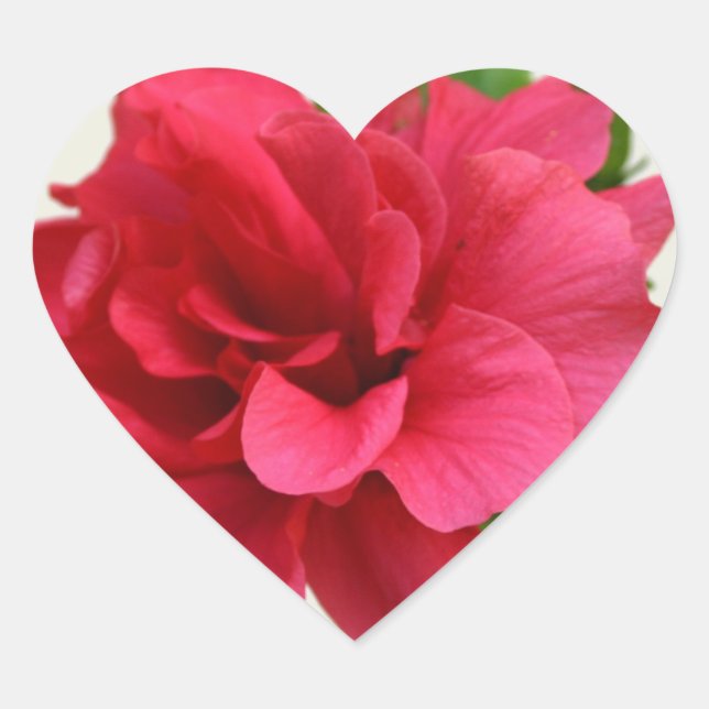 Cœur Joli en rose - Sticker (Devant)