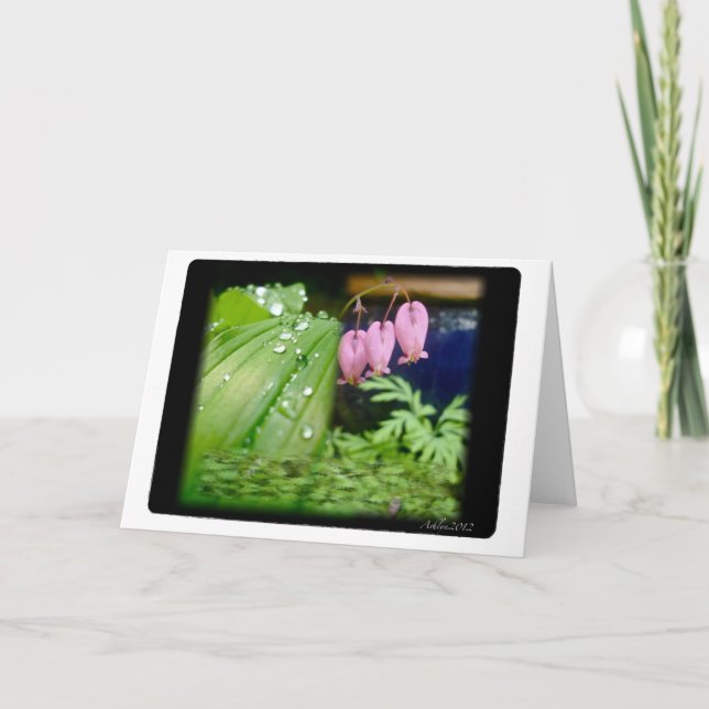 Coeur saignant, carte blanche (Devant)