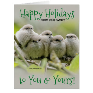 Coeur Songbirds Famille Noël Vacances