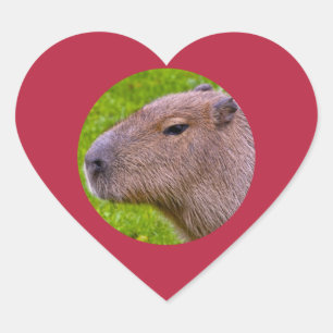 Cœur Sticker Capybara