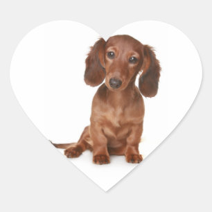Cœur Sticker Chien Chien Chien Chien Chien Chien Chien
