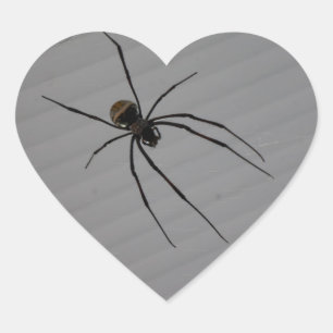 Cœur Sticker Coeur Araignée