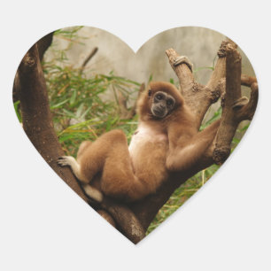 Cœur Sticker Coeur de singe