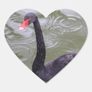 Cœur Sticker Coeur du cygne noir