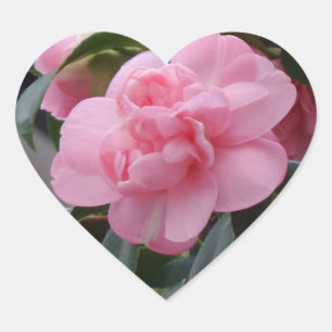 Cœur Sticker Coeur Fleur Rose