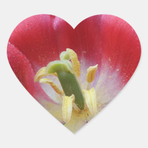 Cœur Sticker Coeur Fleur Tulipe Sursoufflé