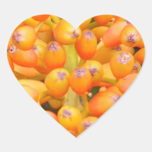 Cœur Sticker Coeur Graines Fleur