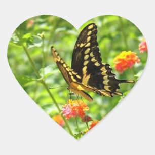 Cœur Sticker en forme de coeur brillant papillon