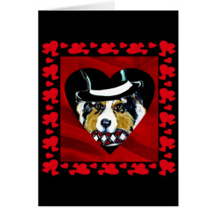 Coeurs bergers australiens