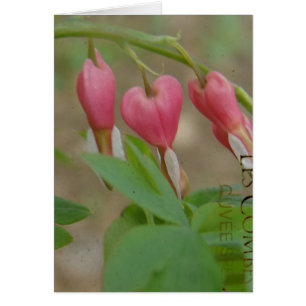 Coeurs saignants