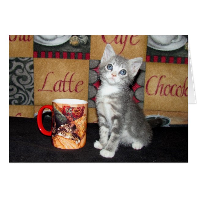 Coffe, Tee oder Meow (Vorderseite (Horizontal))