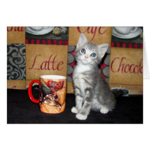 Coffe, thé, ou Meow