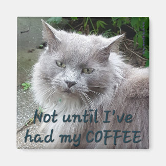 Coffee Cat Magnet #1 - Twig