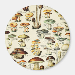Cogagecore Mushrooms Vintag Naturalist Magnet