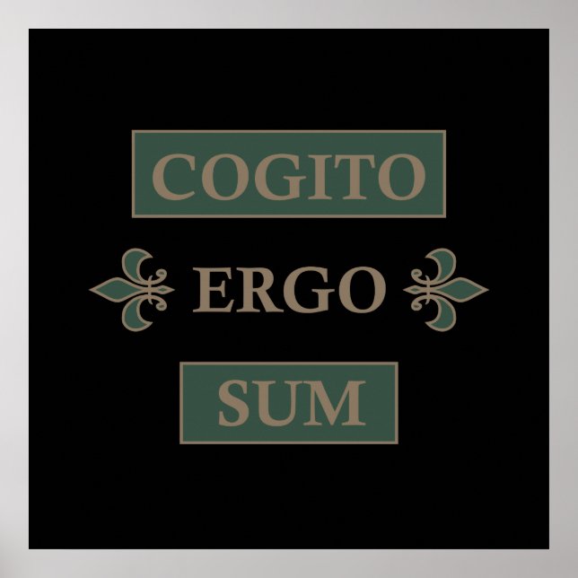 cogito ergo sum, lateinischer Satz Poster (Vorne)