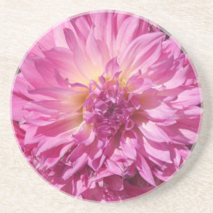 Cogniet Getränkeuntersetzer