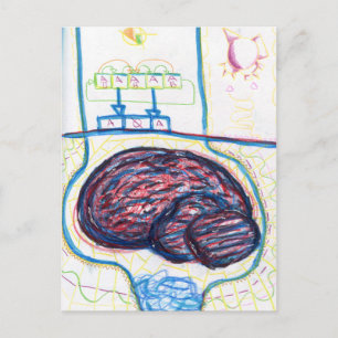 Cognito Shift Postkarte