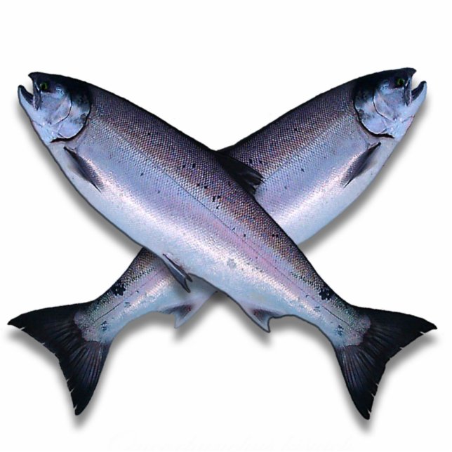 Coho-Lachs-Kreuz-Foto-Skulptur Freistehende Fotoskulptur (Vorne)