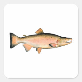 Coho - Silberlachs (Laichphase) Quadratischer Aufkleber