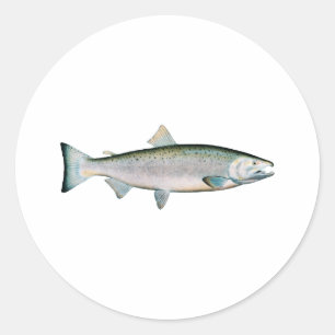 Coho - silberner Lachs (Ozeanphase) Runder Aufkleber