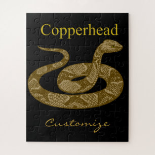 Coiled Copperhead Snake Thunder_Cove
