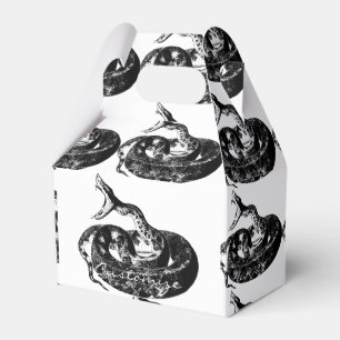 Coiled Rattlesnake Thunder_Cove Geschenkschachtel