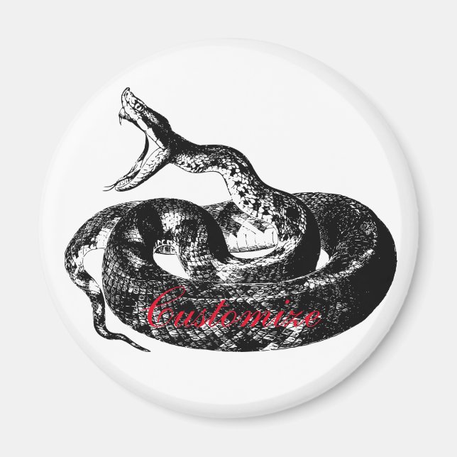 Coiled Rattlesnake Thunder_Cove Magnet (Vorne)