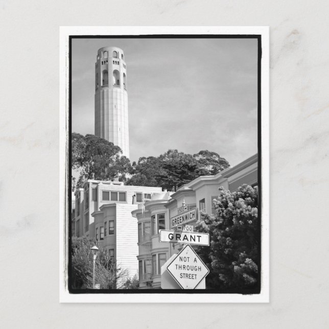 Coit Tower Postcard Postkarte (Vorderseite)