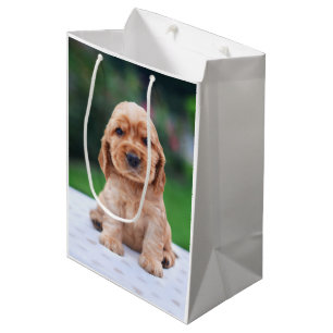 Coker Spaniel Puppy Mittlere Geschenktüte