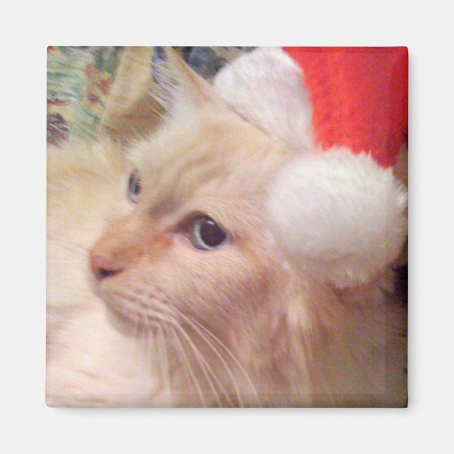 Cokie the Cat Christmas Magnet (Devant)