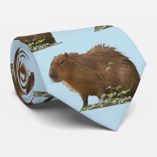 Col de cravate capybara