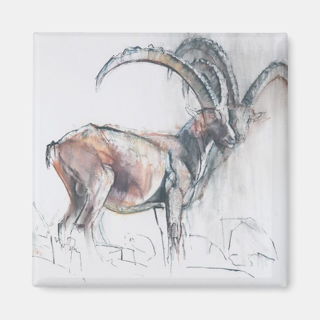 Col di Vermianaz Magnet (Vorne)