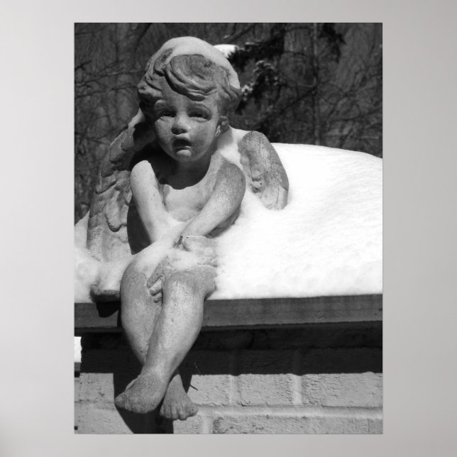 Cold Angel Poster (Vorne)