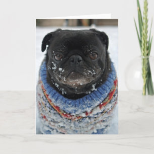 Cold Puggy in the Snow Birthday Grußkarte Karte