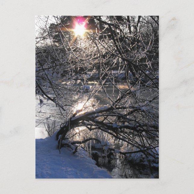 Cold River Hafren Postkarte (Vorderseite)