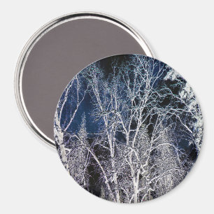 Cold Wintry night.... Magnet
