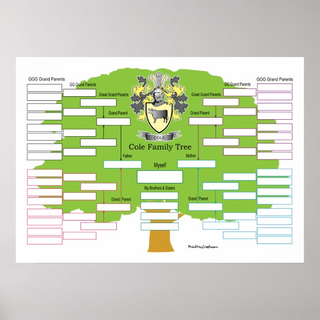 Cole Family Tree Poster (Vorne)