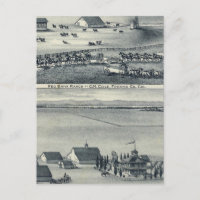 Cole Ranches