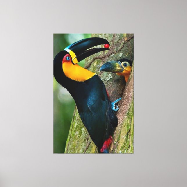 Coleção Onaitsirc Infinity de quadros de tela. Leinwanddruck (Vorderseite)