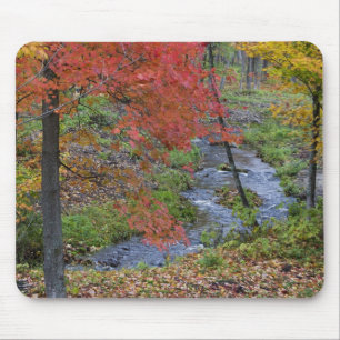 Coles Creme gesäumt von Herbstapfelbäumen in der Mousepad