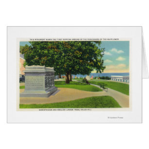 Coles Hill View of Mayflower Burial