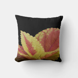 Coleus Blätter Kissen