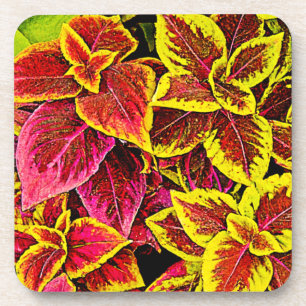 Coleus Leaf Burst Design Getränkeuntersetzer